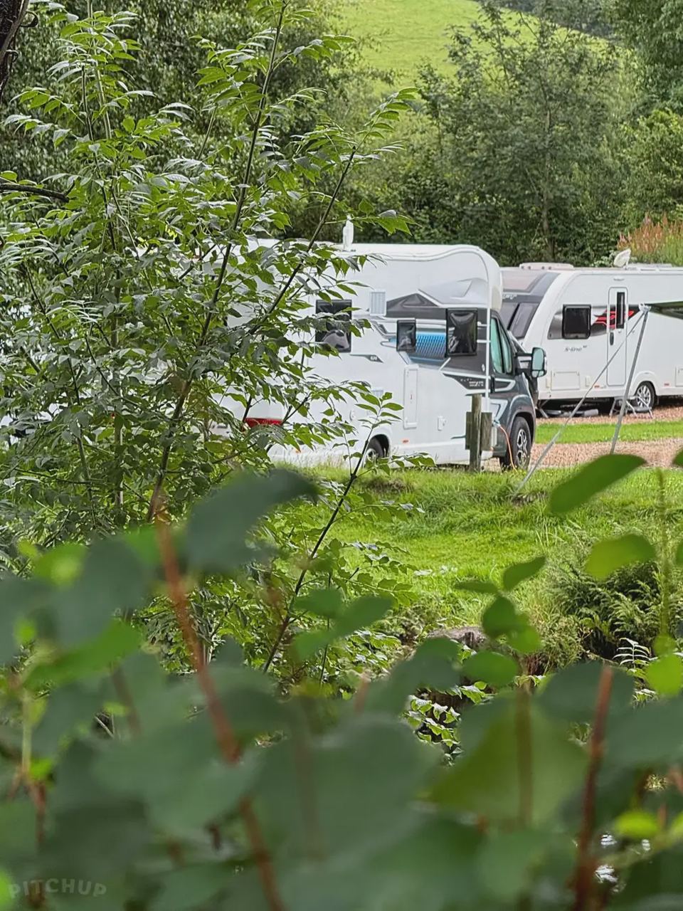 Campervans seen through the hedge