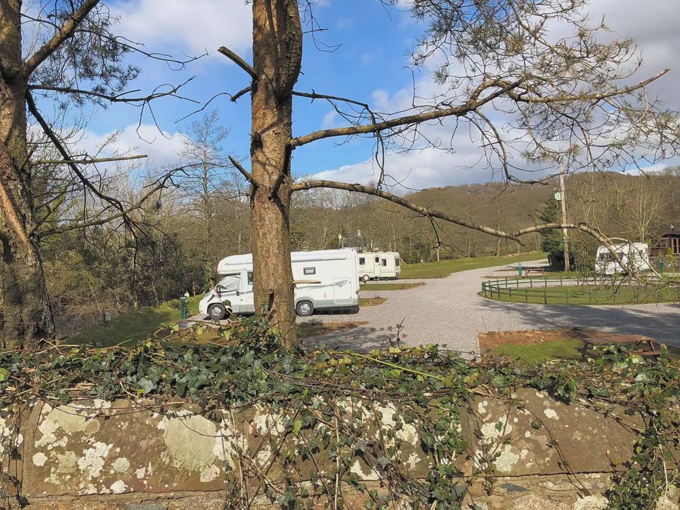 Motorhome on the tree-lined site