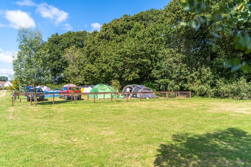 Tent field