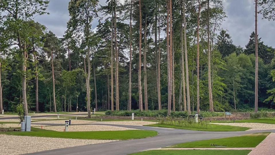 Gravel pitches among the trees