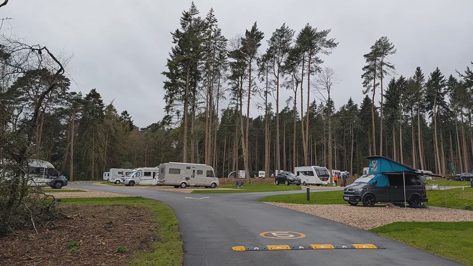 Hardstanding pitches in the pines