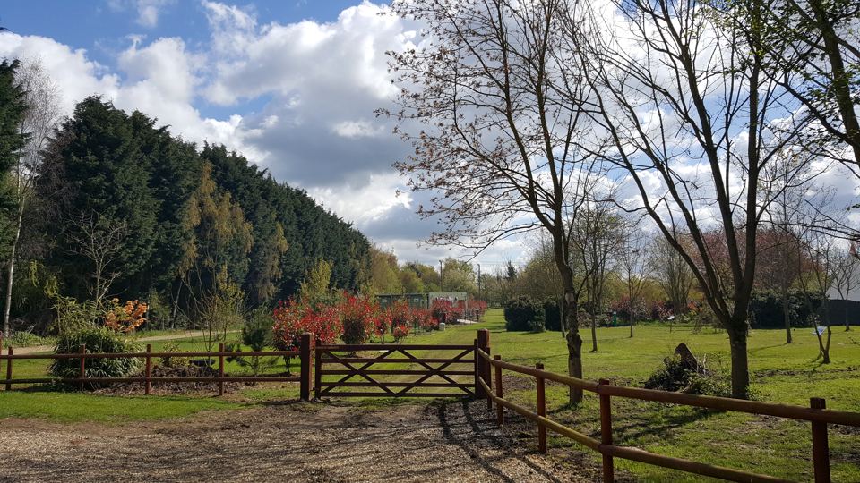 Gated field edge