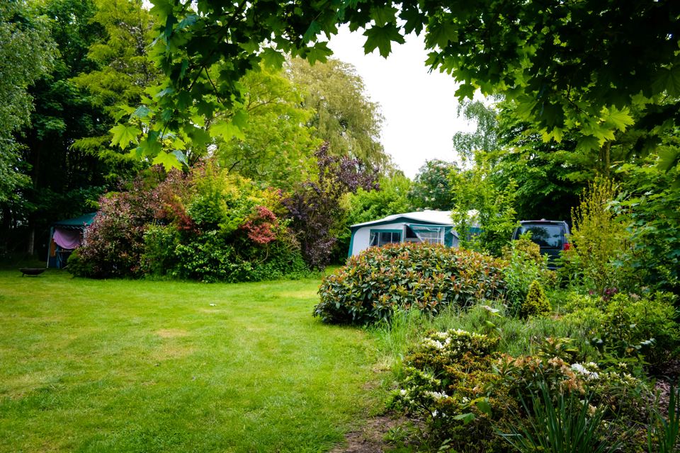 Grass pitch among shrubs