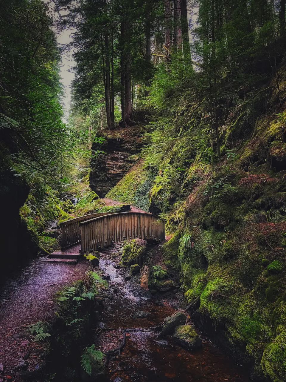 Gorge path at Puck's Glen