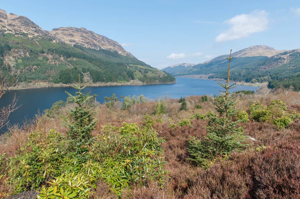 Loch view from the hills