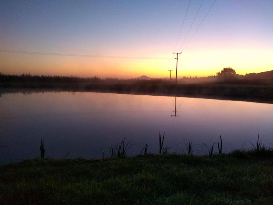 Pond at sunset