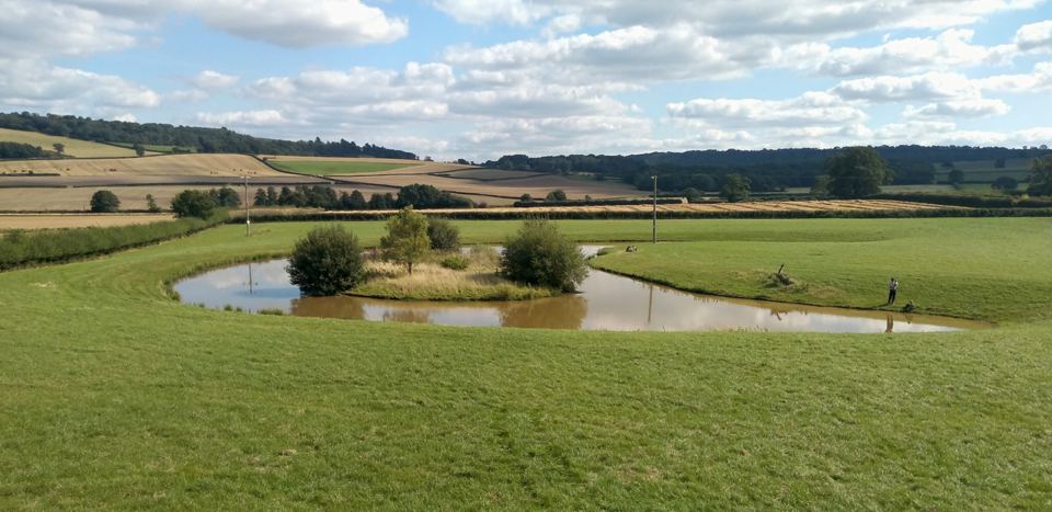 Pond in the farm fields