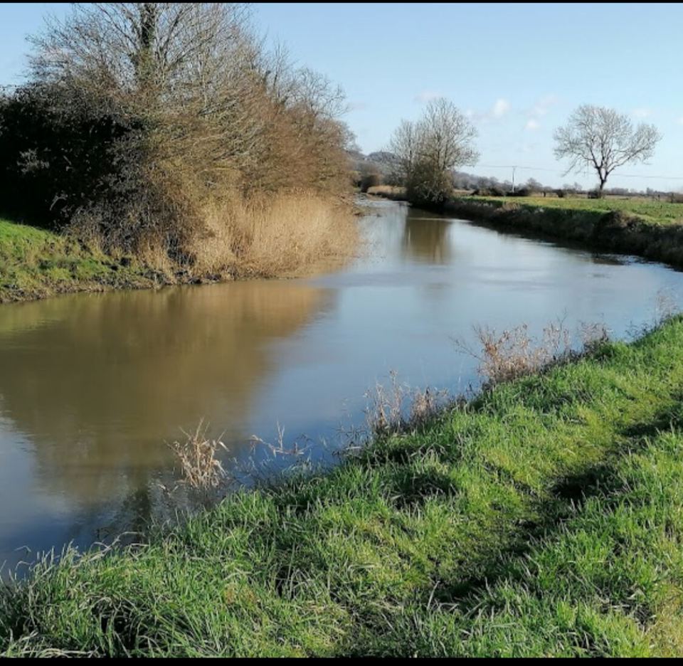 Stream beside the field