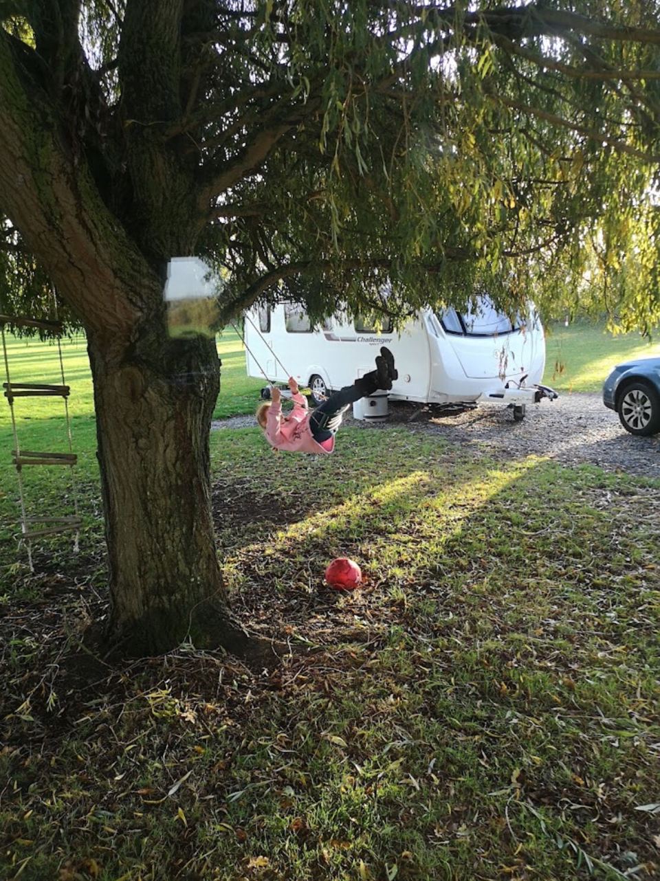Pitch under a tree