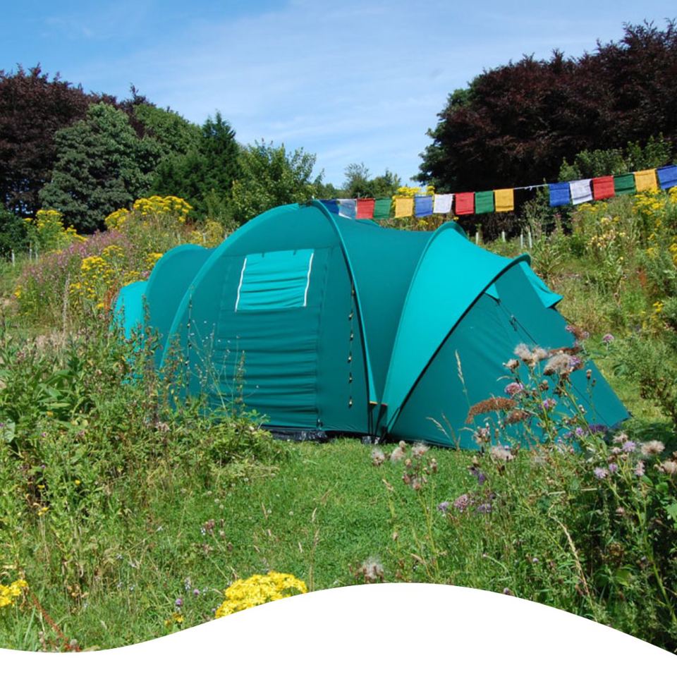 Tent in a wildflower meadow