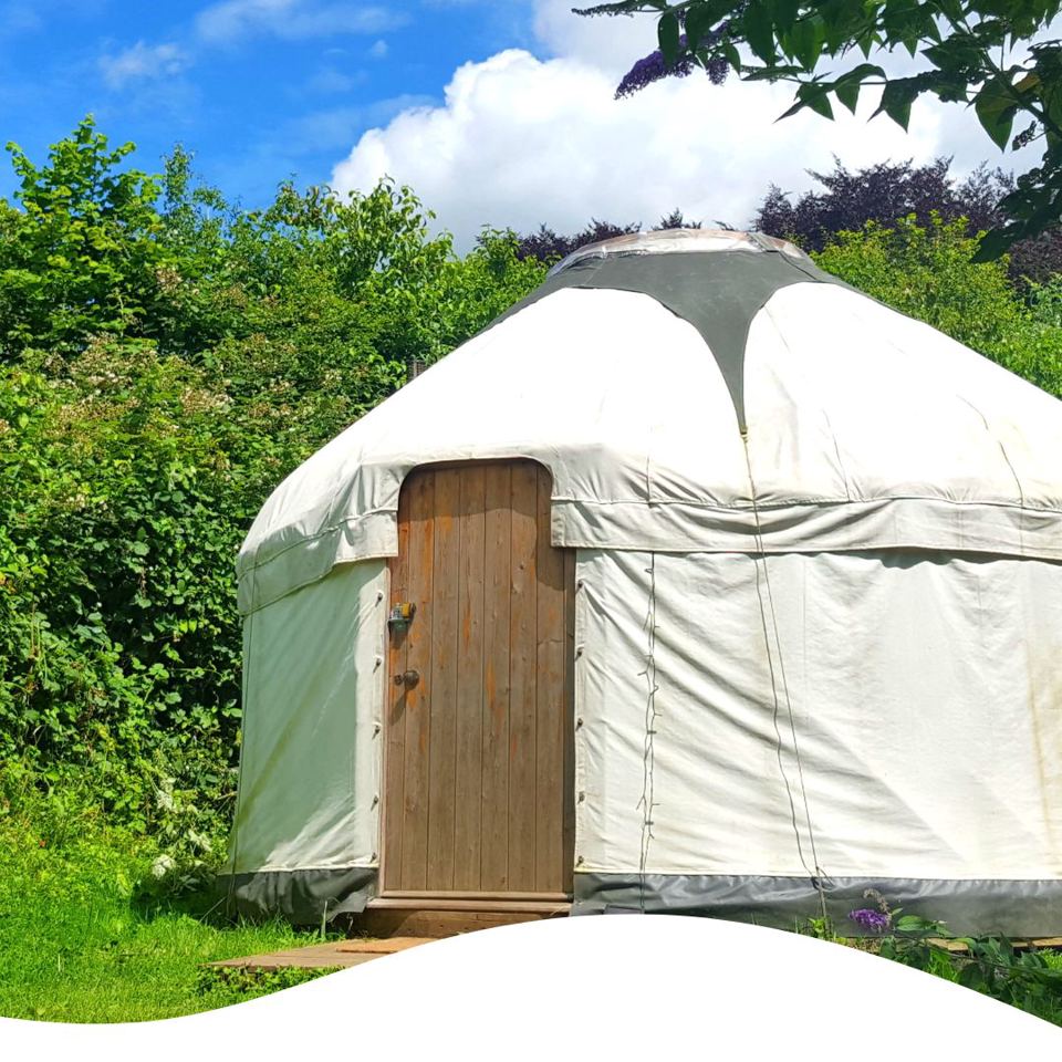 Yurt among the trees