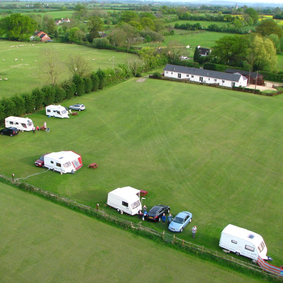 Pitches along the hedge