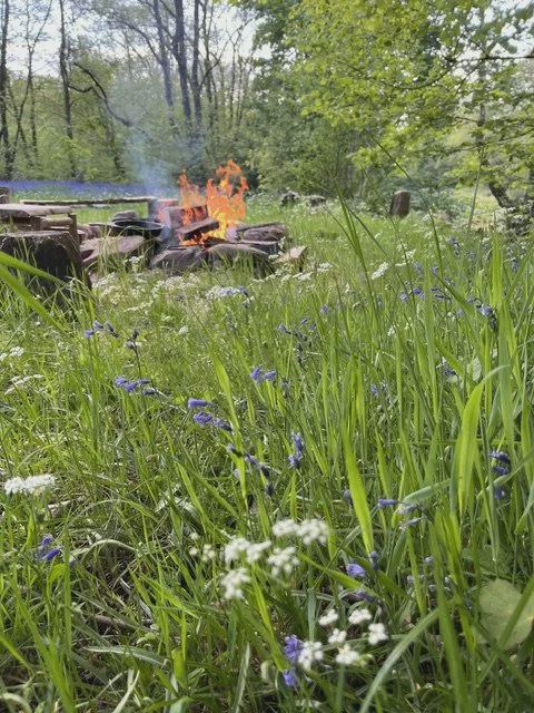 Campfire in the meadow