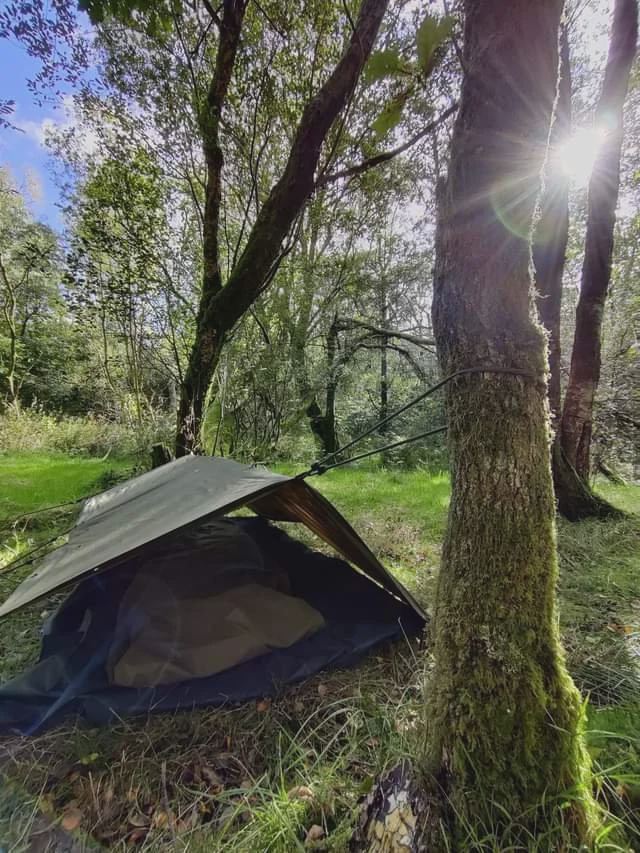 Tent among the trees