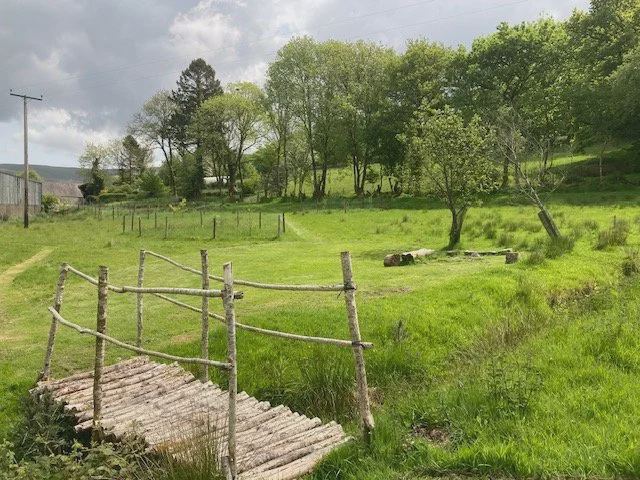 Glade field and footbridge