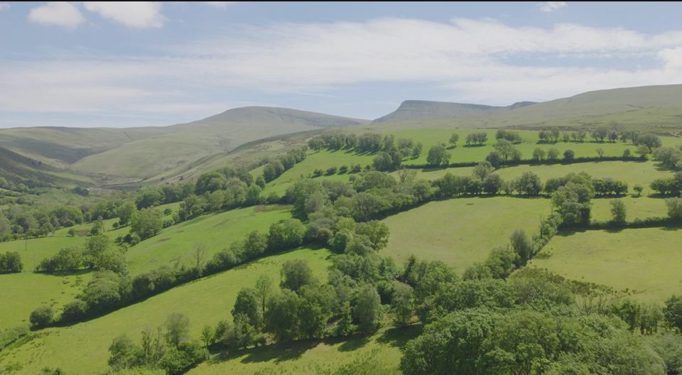 Hills of the Black Mountain