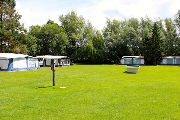 Open grass pitching area