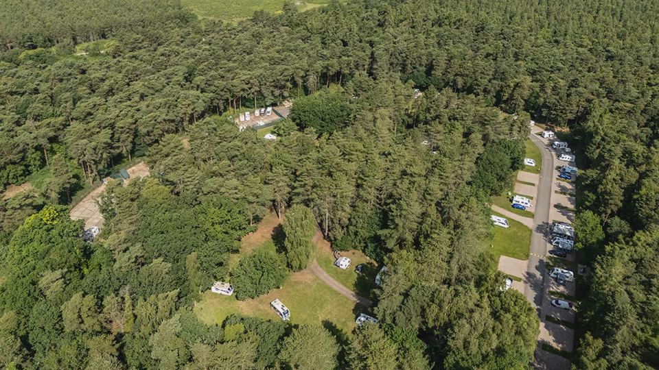 Forest pitches from above