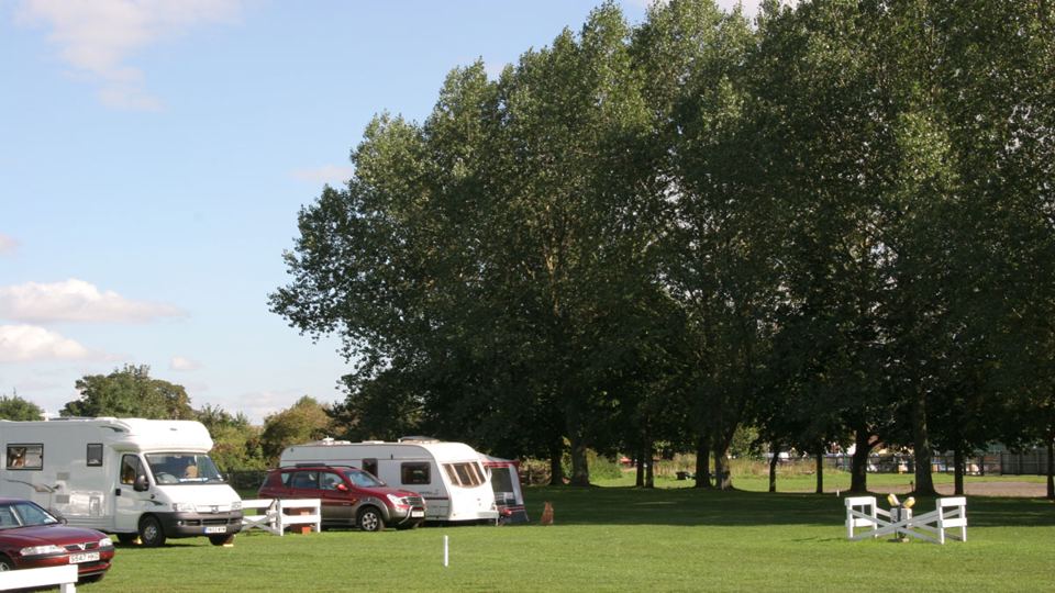 Pitches under the trees