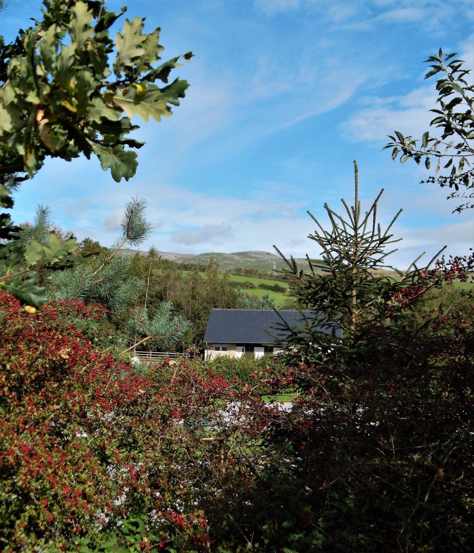 Garden planting and hills
