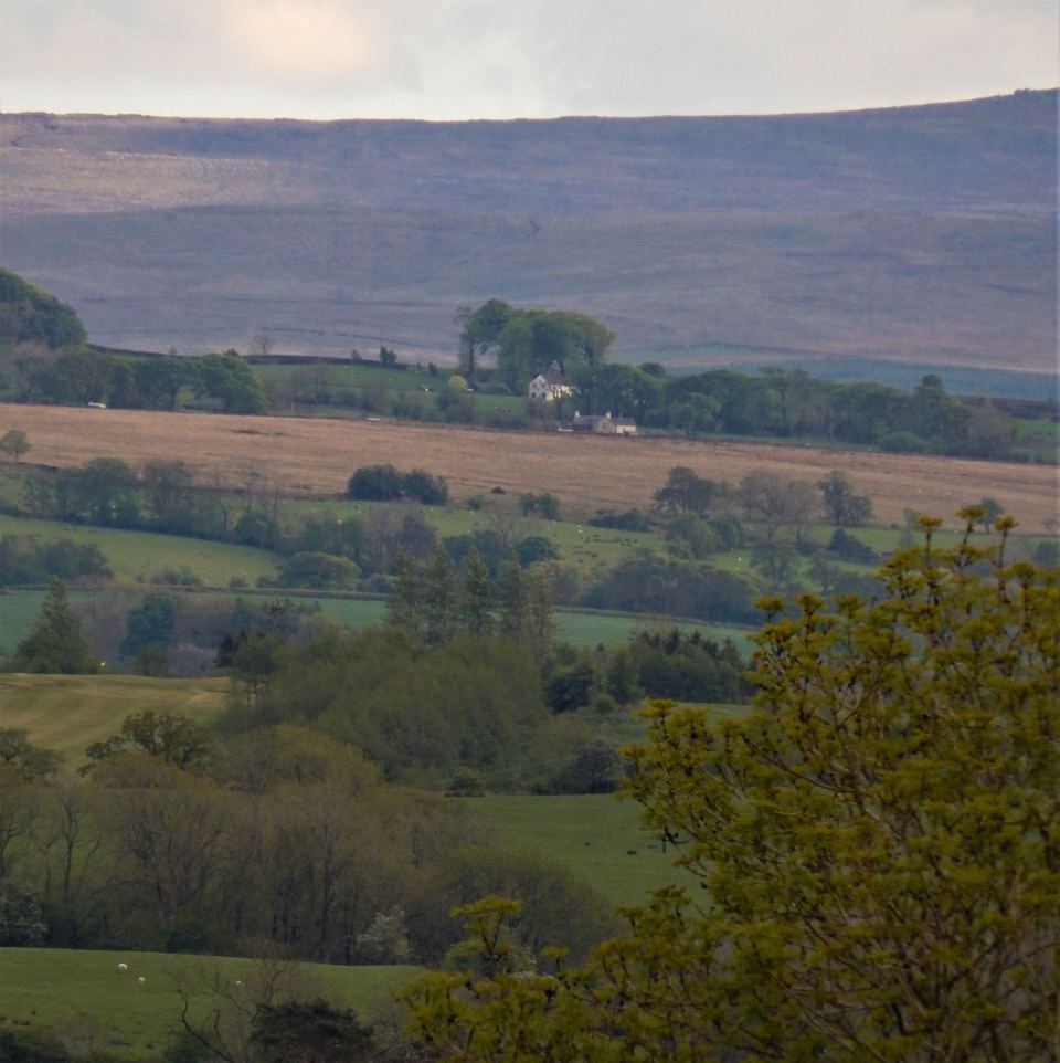 Countryside view from the site