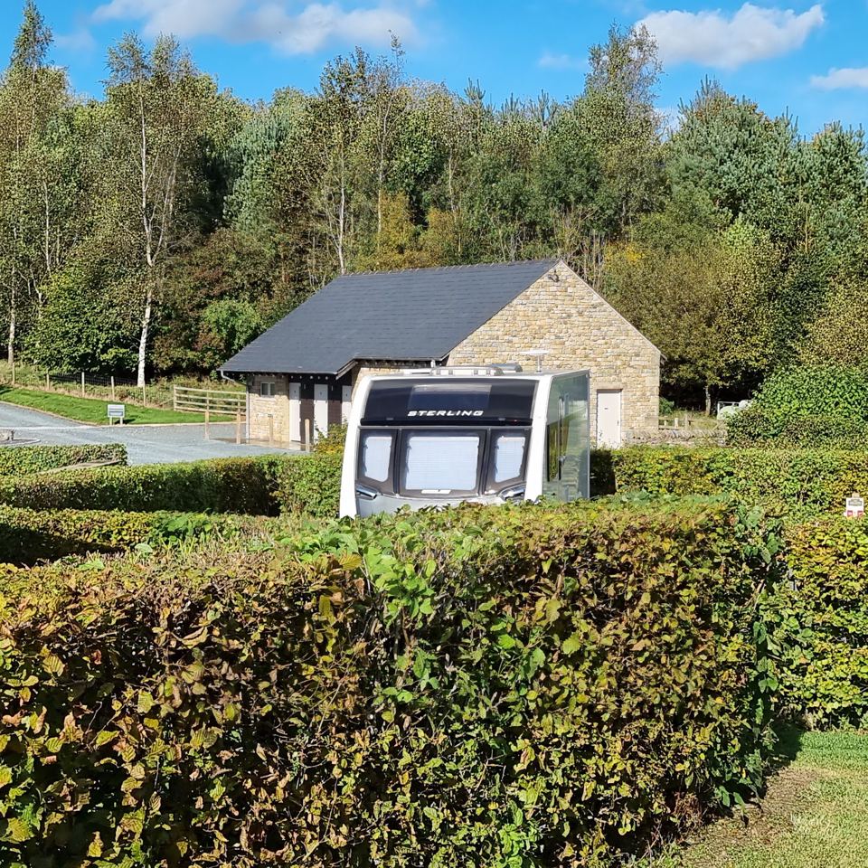 Hard-standing pitch beside hedging