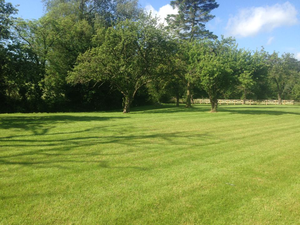 Grass pitches under apple trees