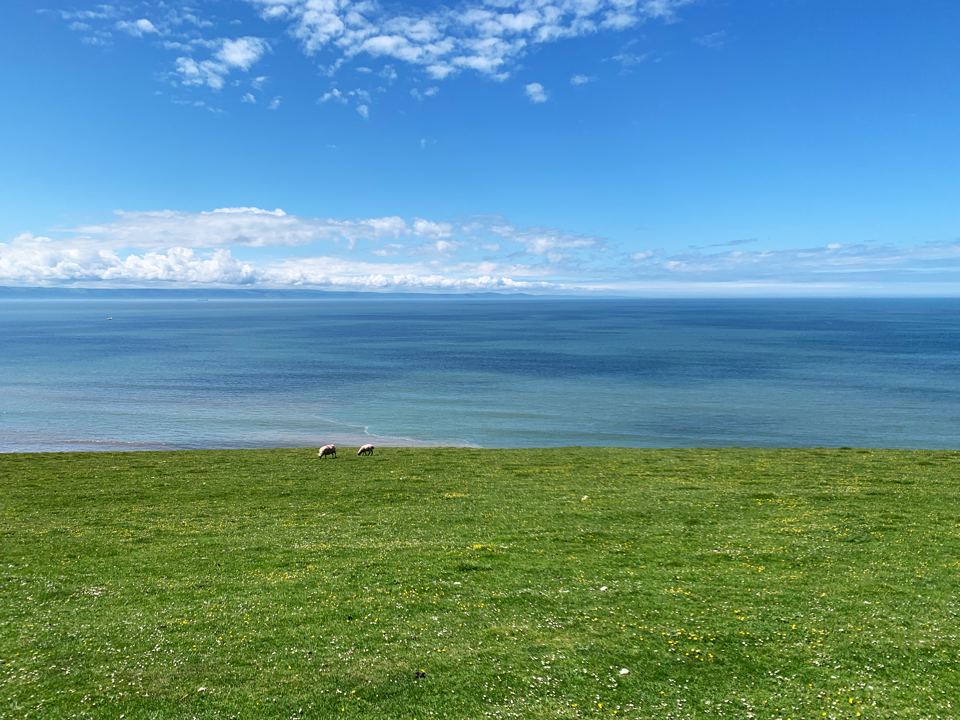 Grass above the sea