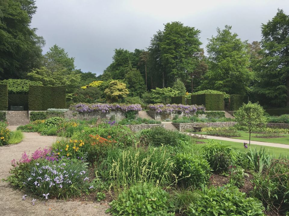 Garden beds beside the trees