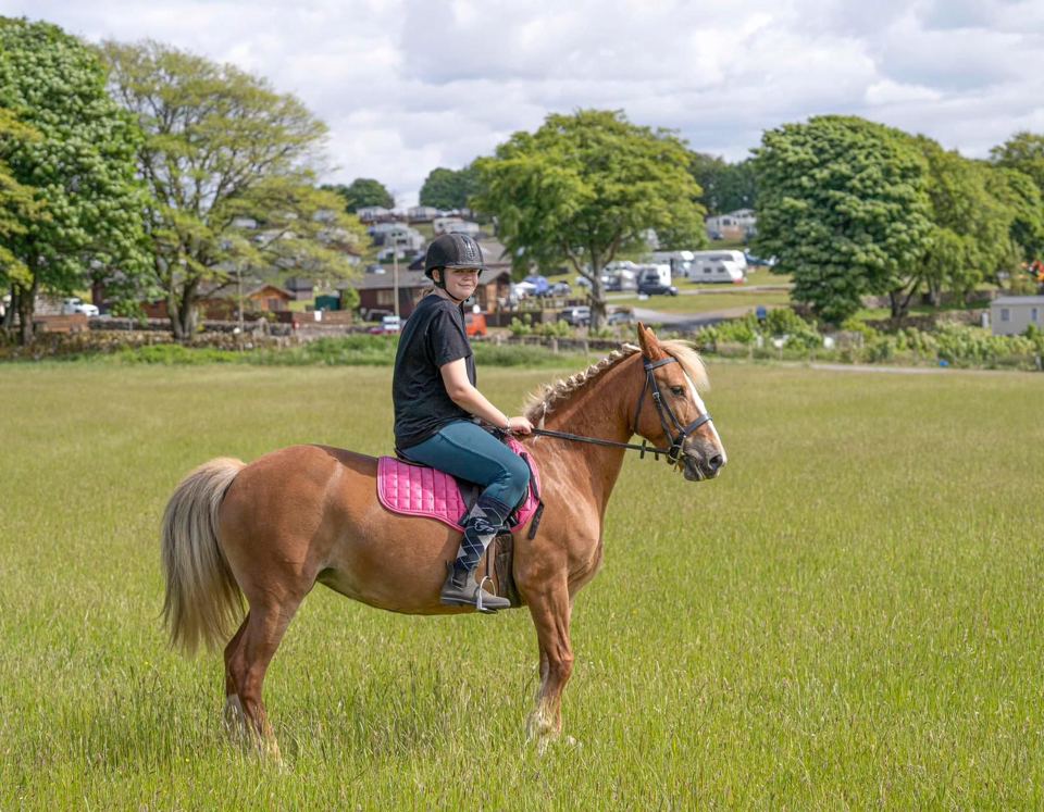Pony trekking on the park