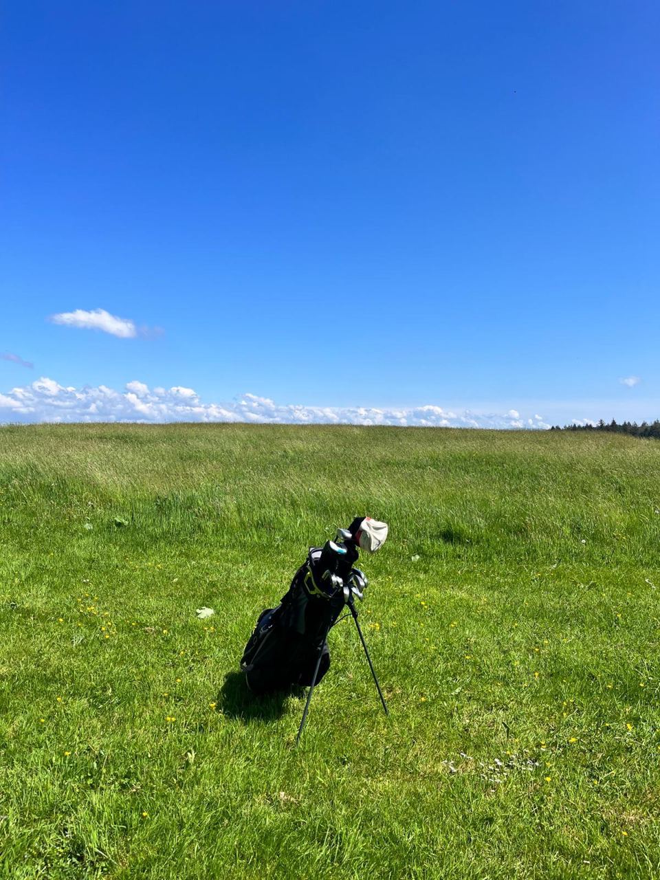 Golf course on the park