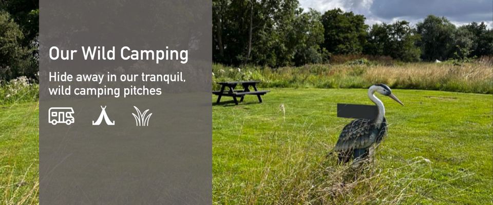 Wild camping bay in long grass