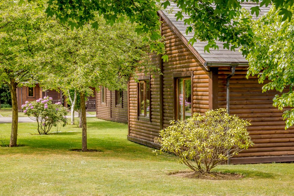 Timber lodge in the trees