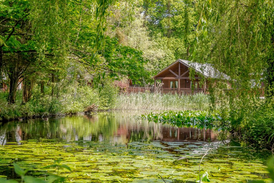 Lodge beside a pond
