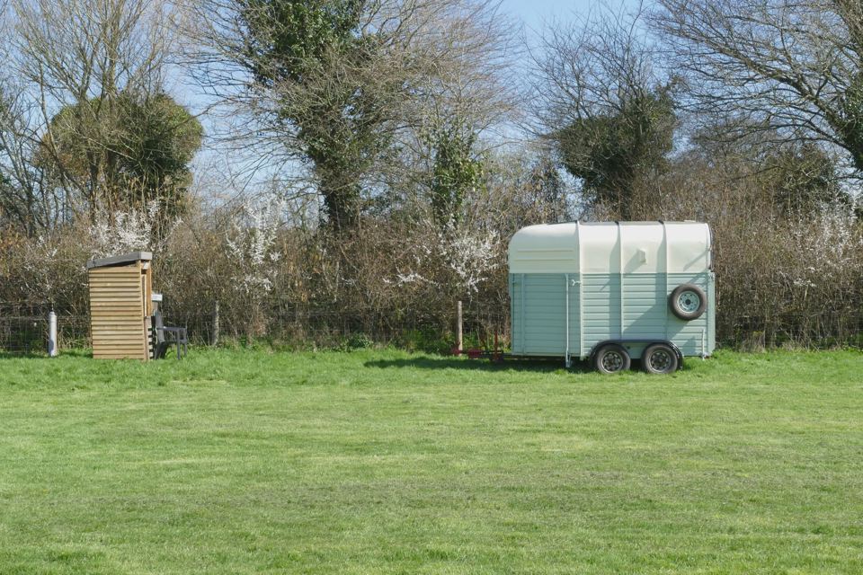 Grass field with horsebox and hut