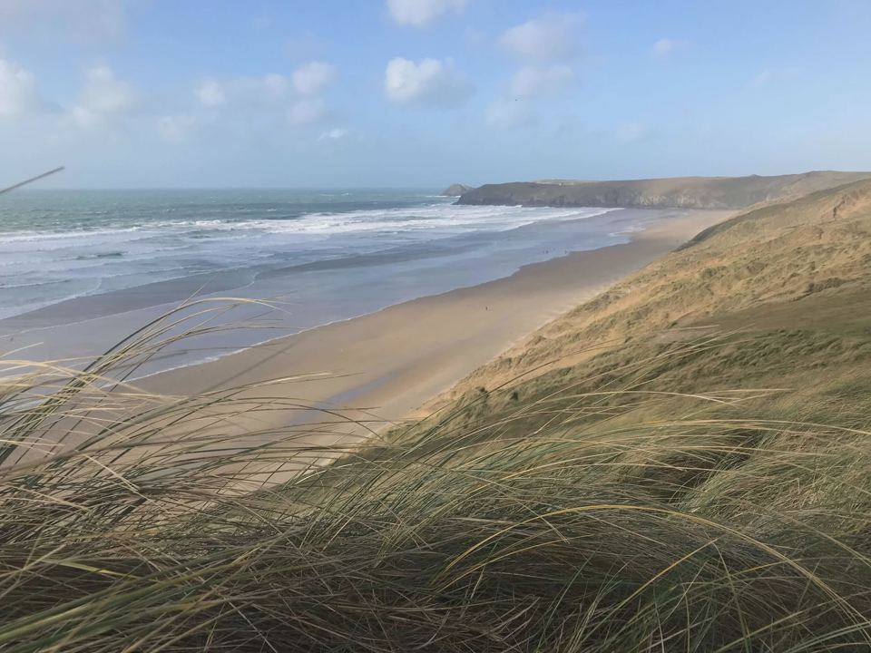 Beach and dunes at the coast