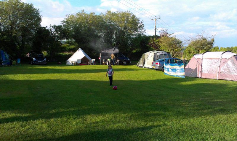 Large grass field with tents