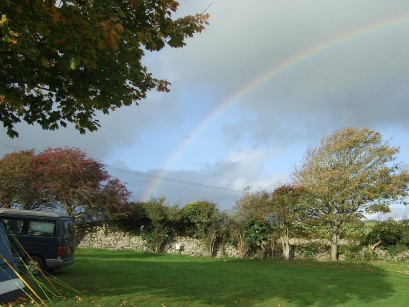 Grass field with a rainbow