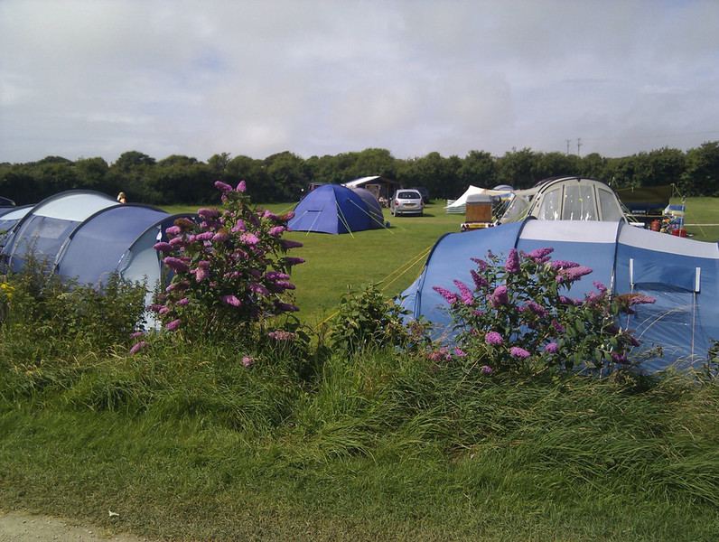 Tents on the field