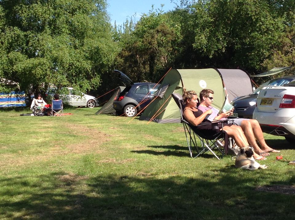 Tents under trees