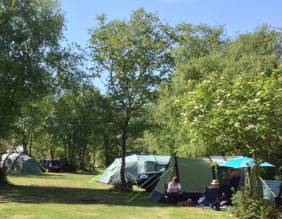 Tents among the trees