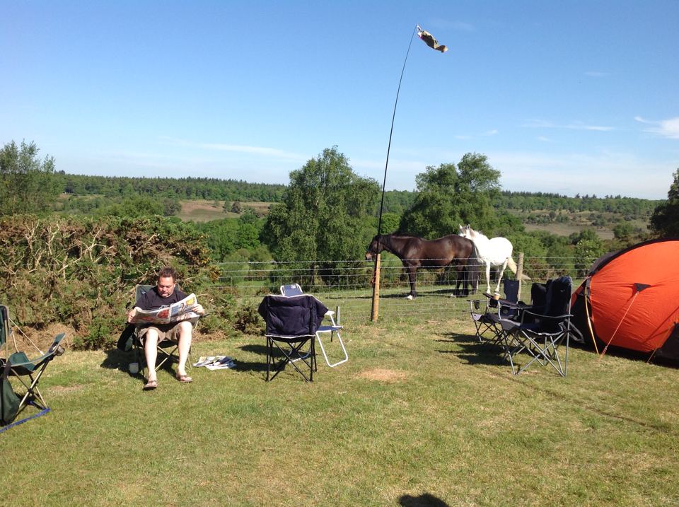 Ponies by the pitches