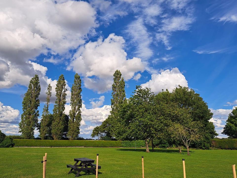 Grass camping field