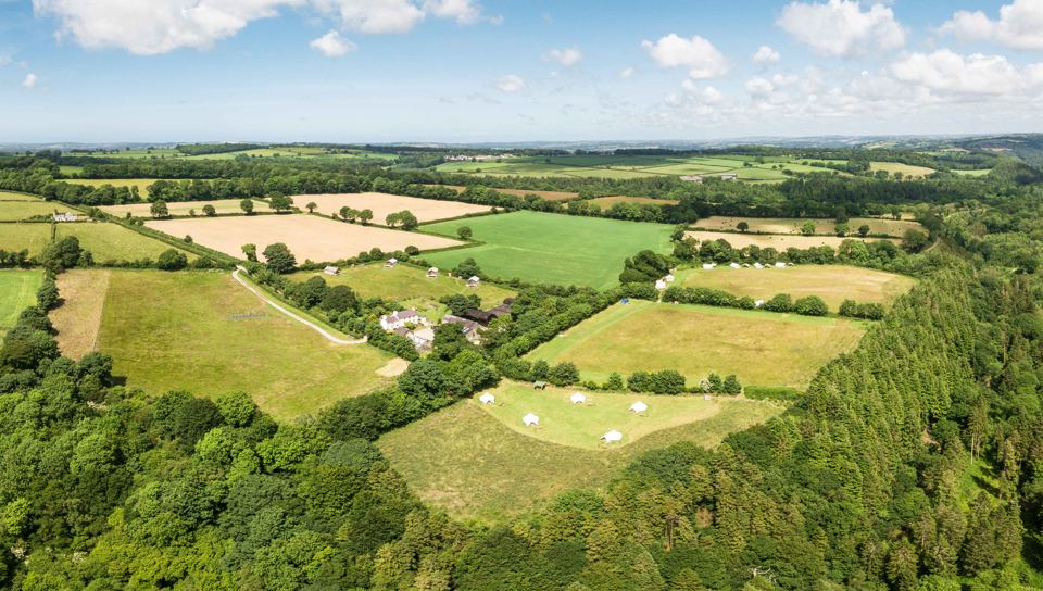 Meadows and woodland from above