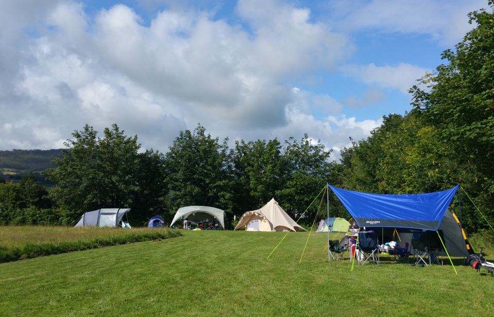Tents on the meadow pitches