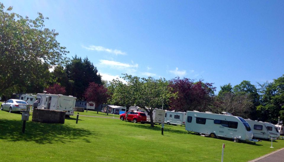 Caravans under the trees