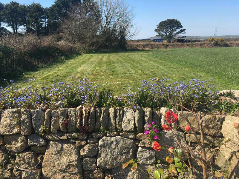 Grass field beside a stone wall