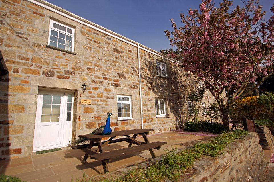 Stone cottage with cherry tree