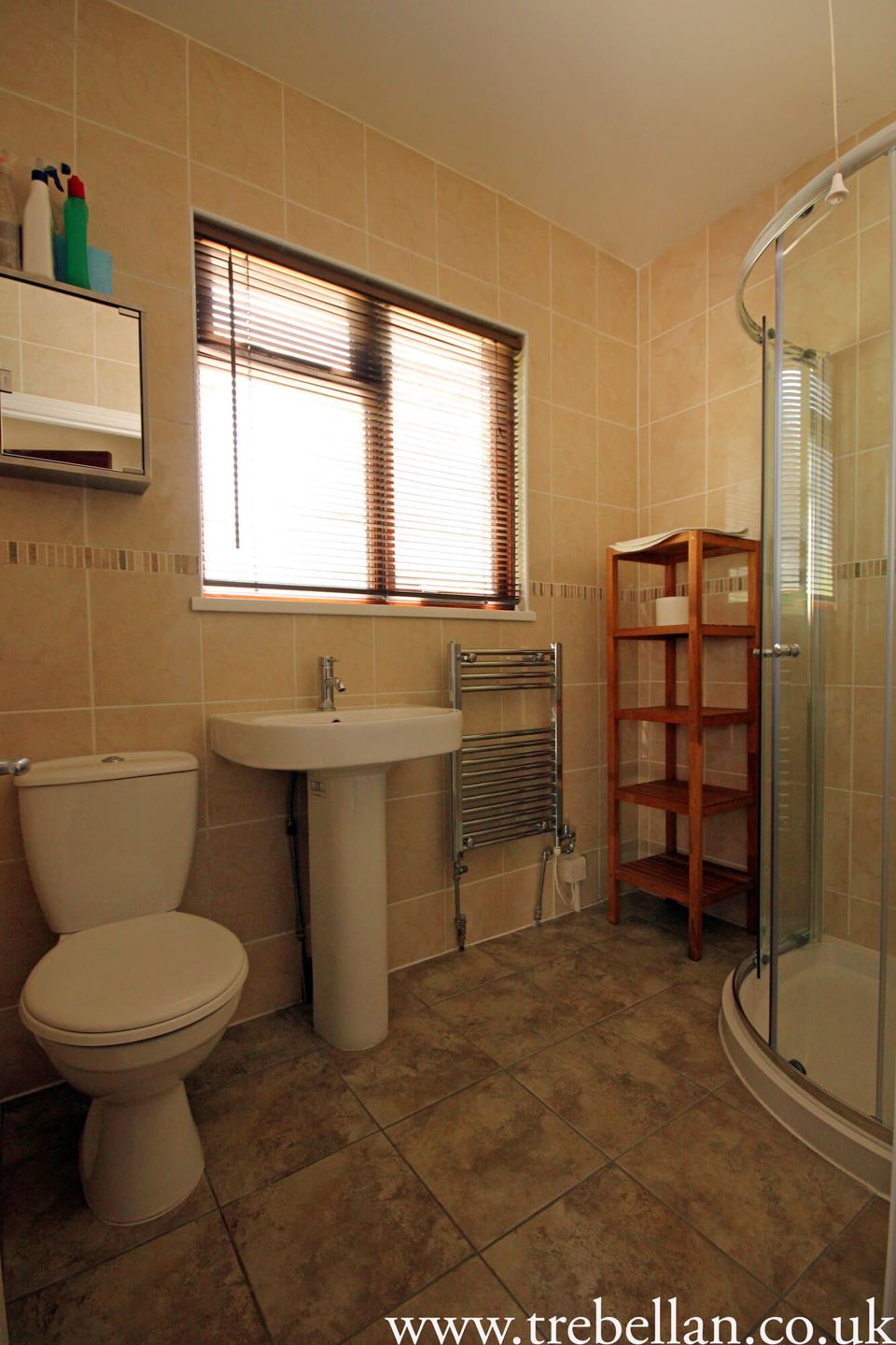 Shower room with toilet