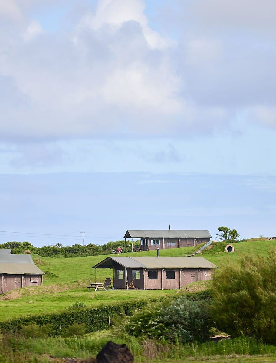Barns and fields across the farm